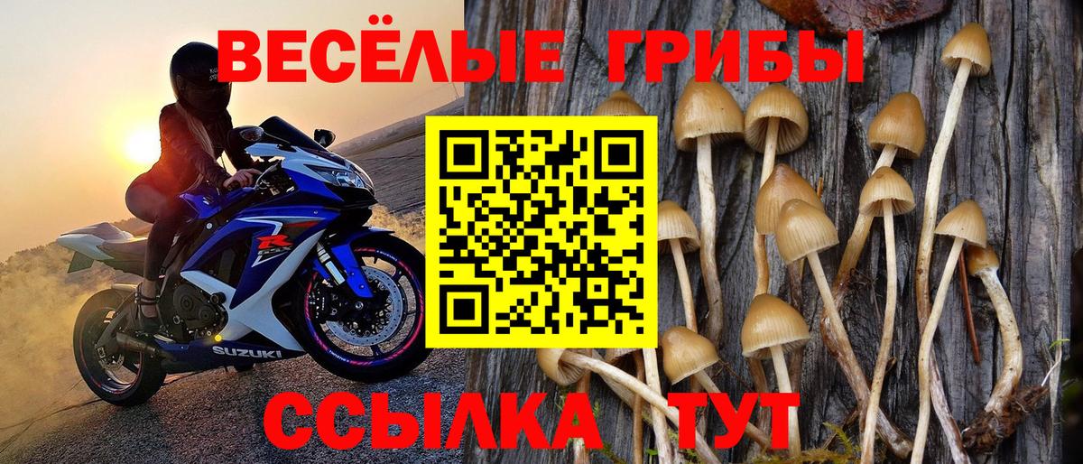 Галлюциногенные грибы GOLDEN TEACHER  Вход с VPN  магазин  наркотиков  Черемхово 